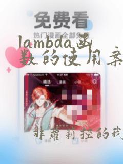 lambda函数的使用案例