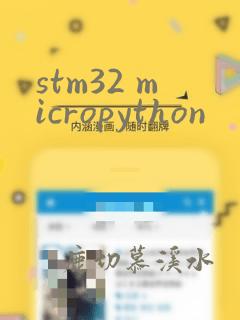 stm32 micropython
