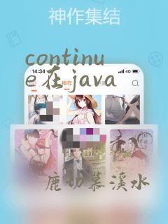 continue在java