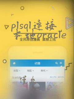 plsql连接本地oracle