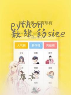 python 数组的size