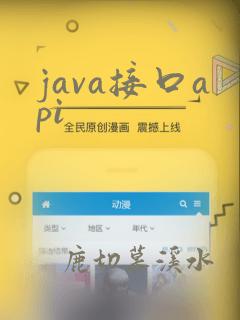 java接口api