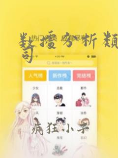 数据分析类的公司