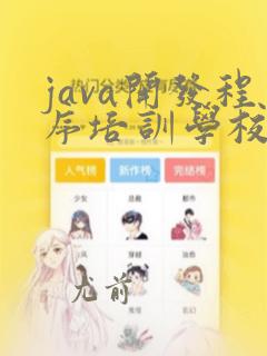 java开发程序培训学校