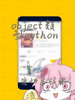 object类型python