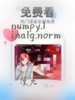 numpy.linalg.norm