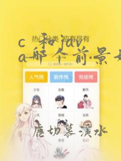 c  和java哪个前景好