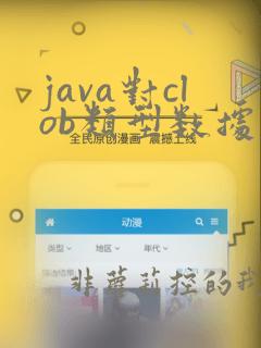 java对clob类型数据怎么处理