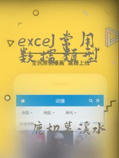 excel常用数据类型