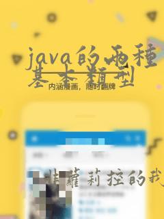 java的两种基本类型