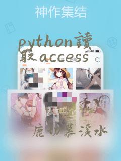 python读取access