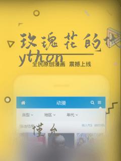 玫瑰花的代码python
