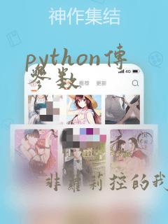 python传参数