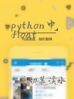 python中float
