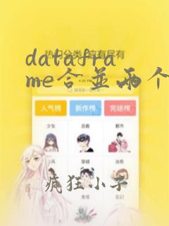 dataframe合并两个dataframe
