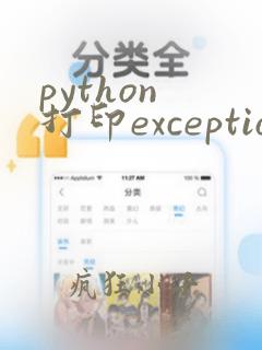 python 打印exception