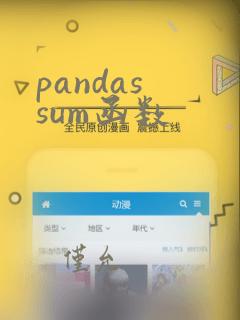 pandas sum函数