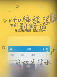 vfp编程从入门到精通