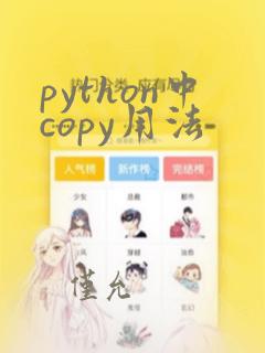 python中copy用法