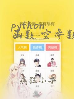python 函数 空参数
