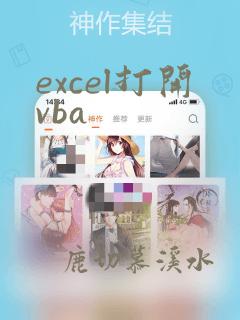 excel打开vba