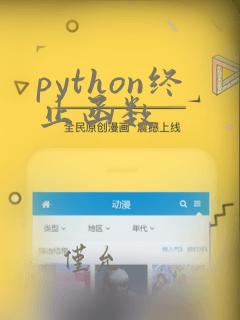 python终止函数