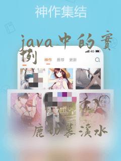 java中的实例