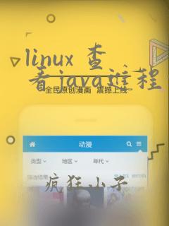 linux 查看java进程命令