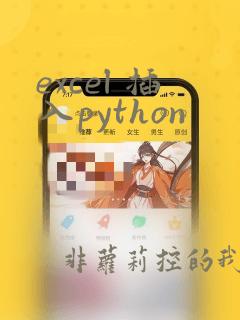excel 插入python