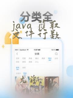 java 获取文件行数