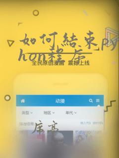 如何结束python程序