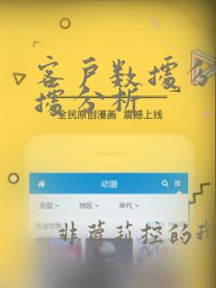 客户数据分析数据分析