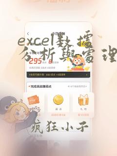 excel数据分析与处理