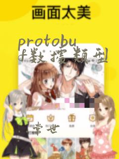 protobuf数据类型