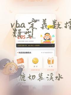 vba定义数据类型