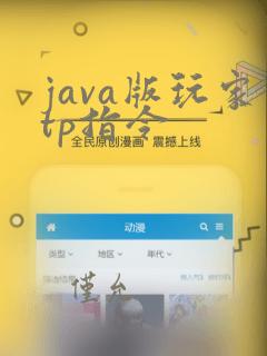 java版玩家tp指令