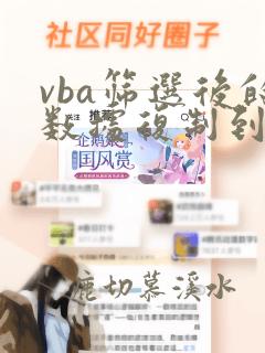 vba筛选后的数据复制到数组