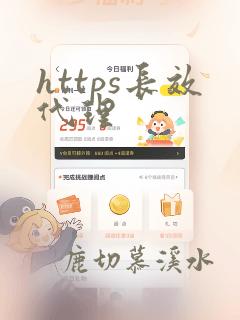 https长效代理