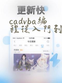 cadvba编程从入门到精通