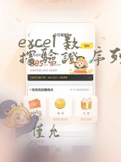 excel 数据验证 序列 重复