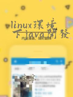 linux环境下java开发