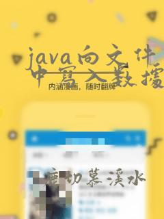 java向文件中写入数据