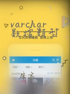 varchar数据类型