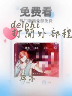delphi 打开外部程序