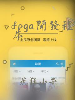fpga开发程序