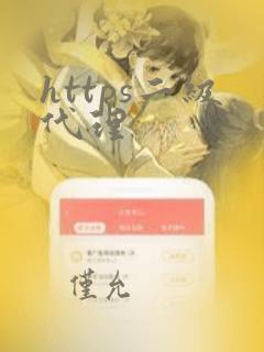https二级代理