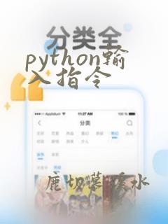 python输入指令