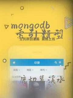 mongodb 索引类型