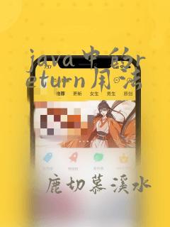 java中的return用法