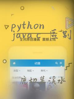 python java c  区别